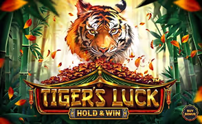 May Mắn Của Hổ